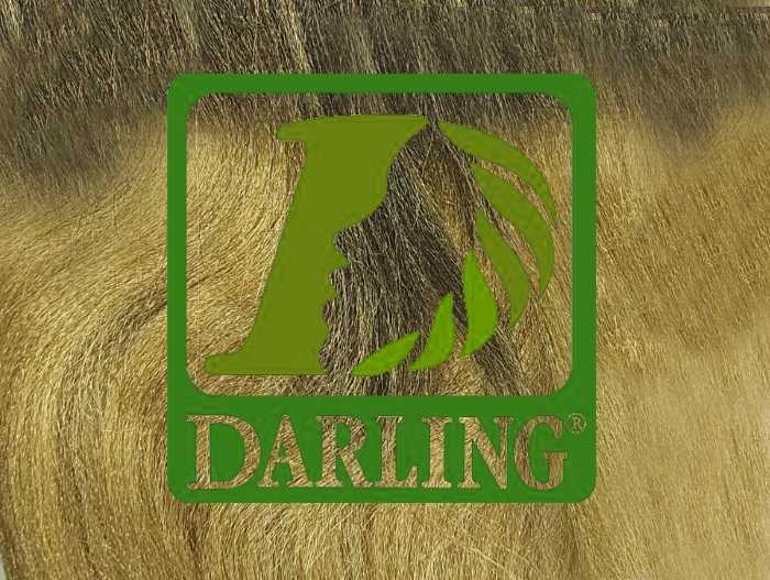 Darling X-Braid Kanekalon 100% – Color T2/27