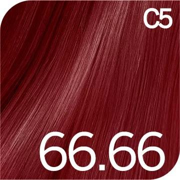 Revlon Tinte Revlonissimo Colorsmetique Rojos 60 ml - 66.66