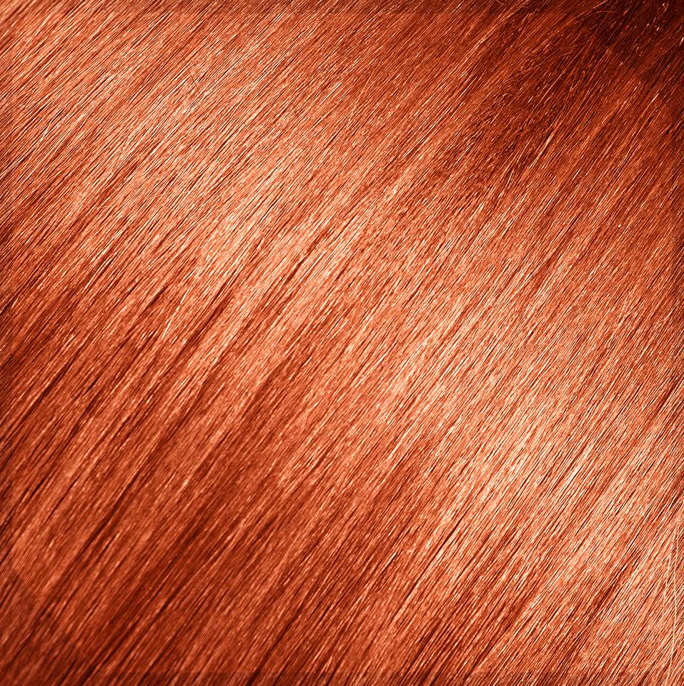 Andreia Coloración Permanente Sin Amoniaco 100ml Be You - 8.44