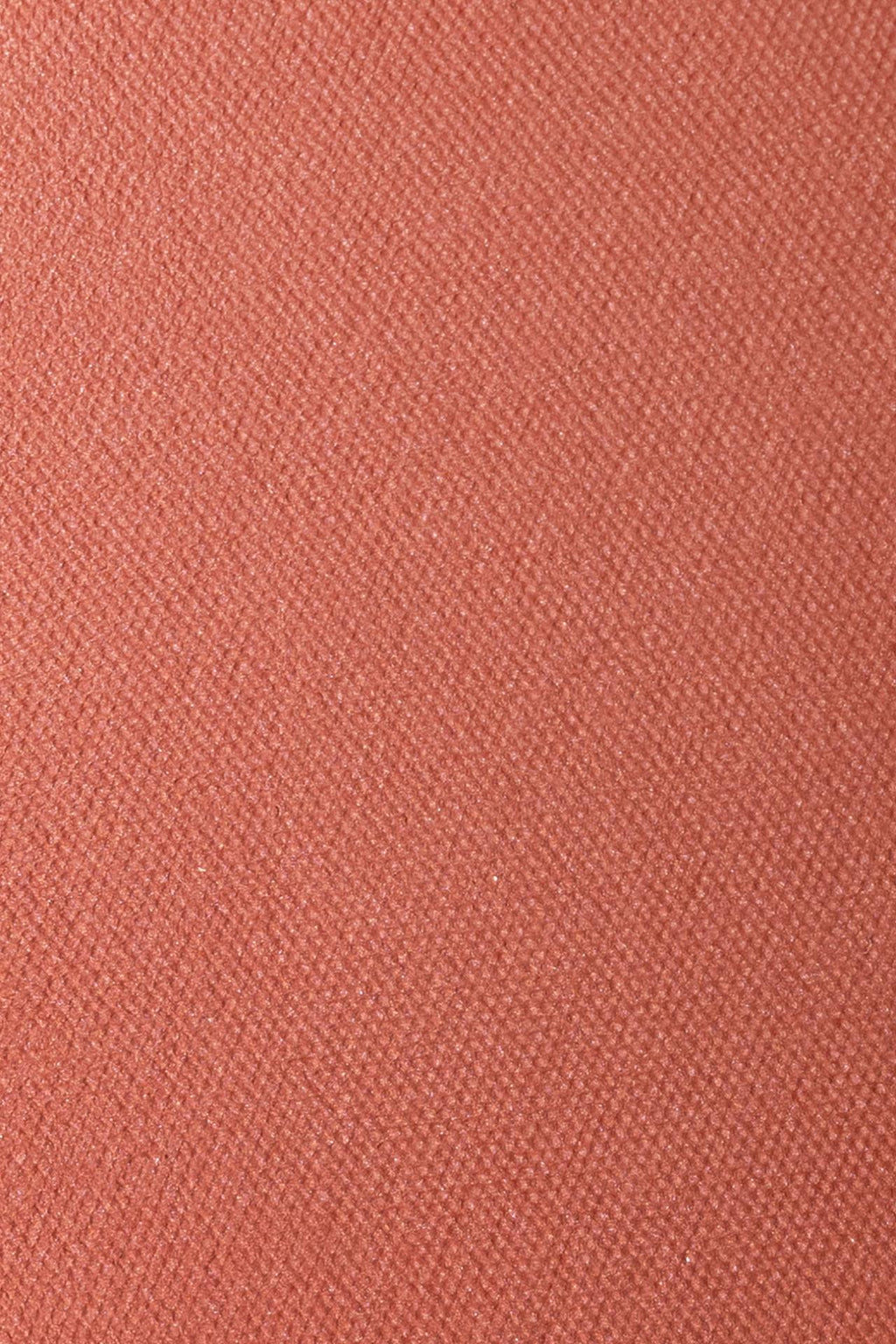 Andreia Immersive Blush 04 Rusty Red - 4gr
