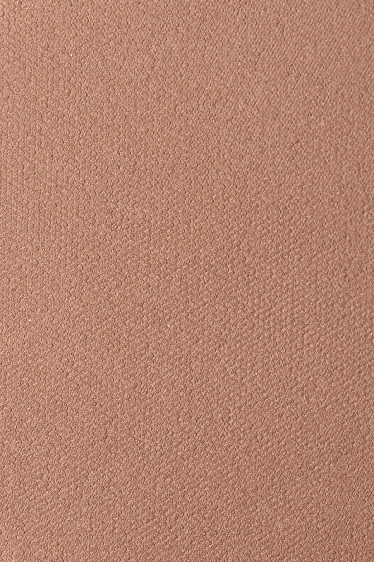 Andreia Immersive Bronzer 01 Light Cool Brown - 4gr