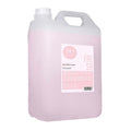 LE Anea Champu Profesional Fresa 5L