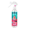 The Fruit Company Ambientador Multiusos Sandia 250ml