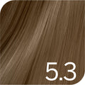Revlon Revlonissimo Color Sublime - (sin amoniaco y vegano) 5.3 Castaño Claro Dorado 75 ml